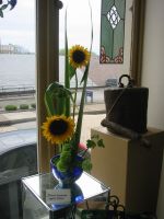 Sunflower%20Michiko%20th.jpg